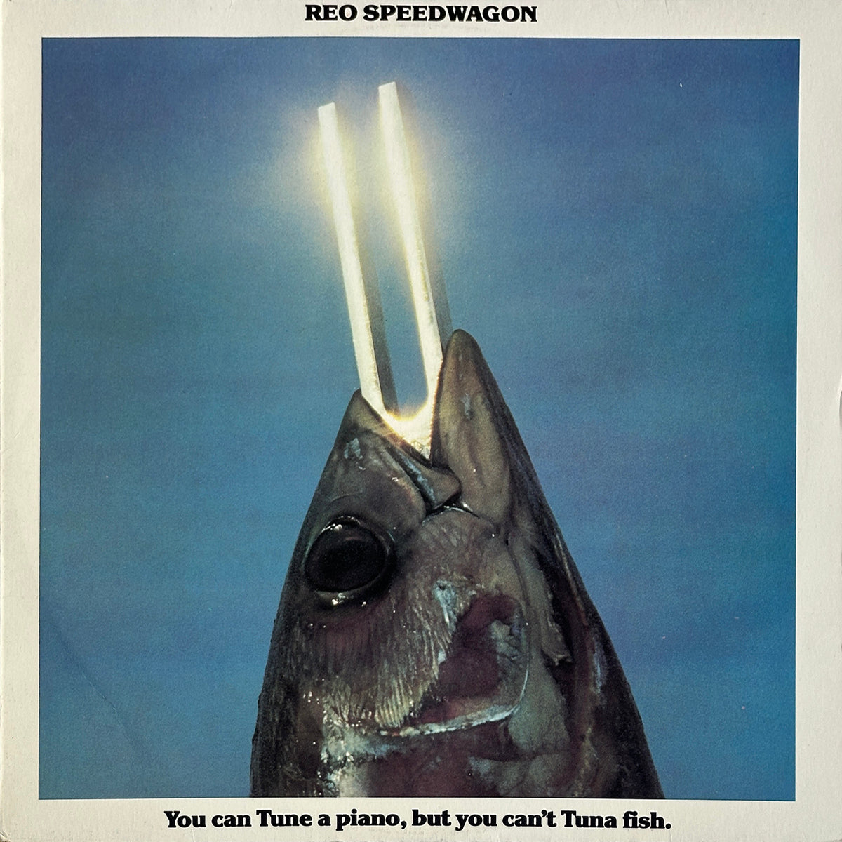 You Can Tune A Piano, But You Can't Tuna Fish - Image 1