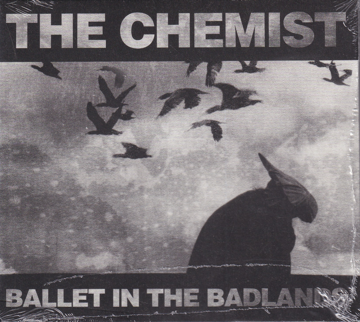Ballet In The Badlands - Image 1