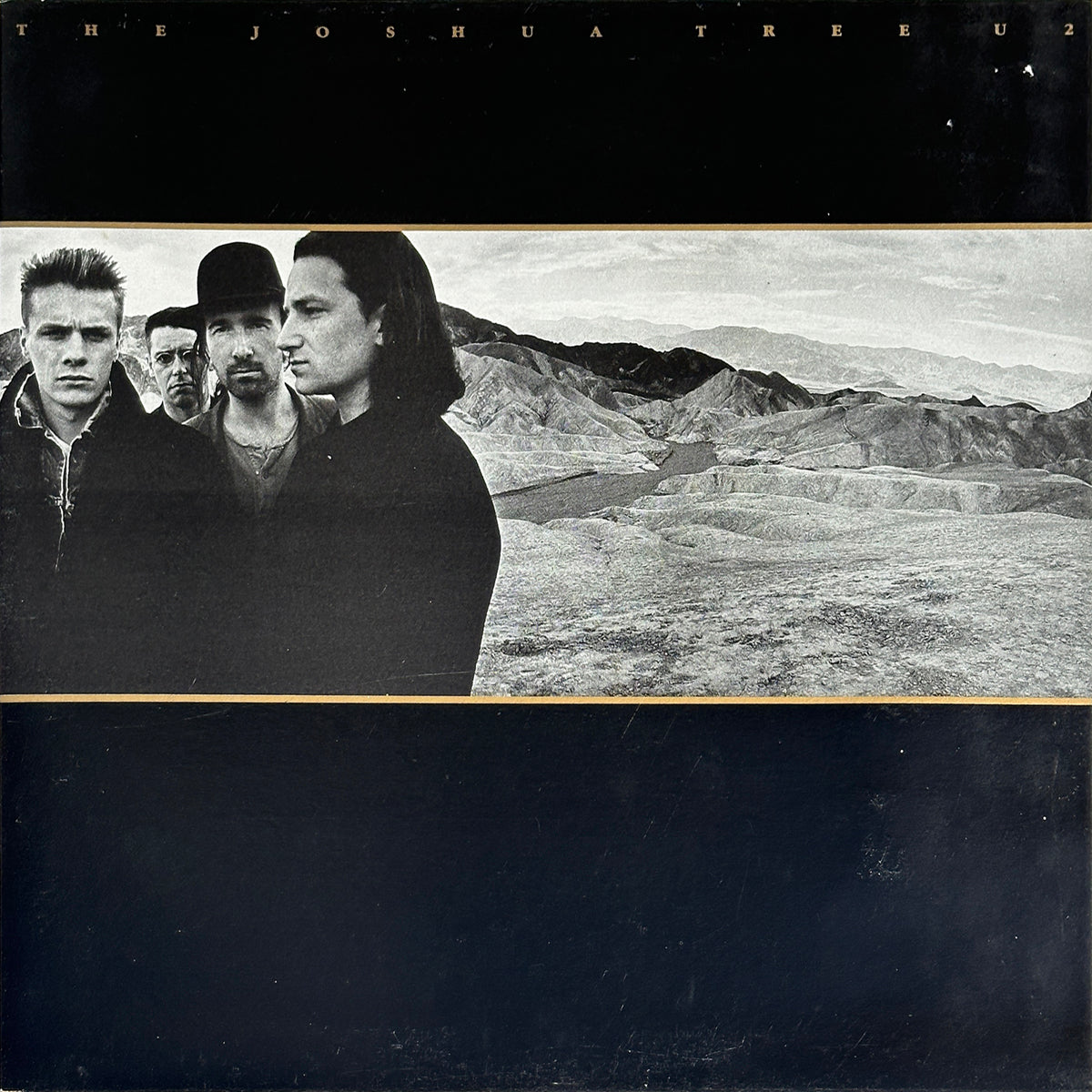 The Joshua Tree - Image 1