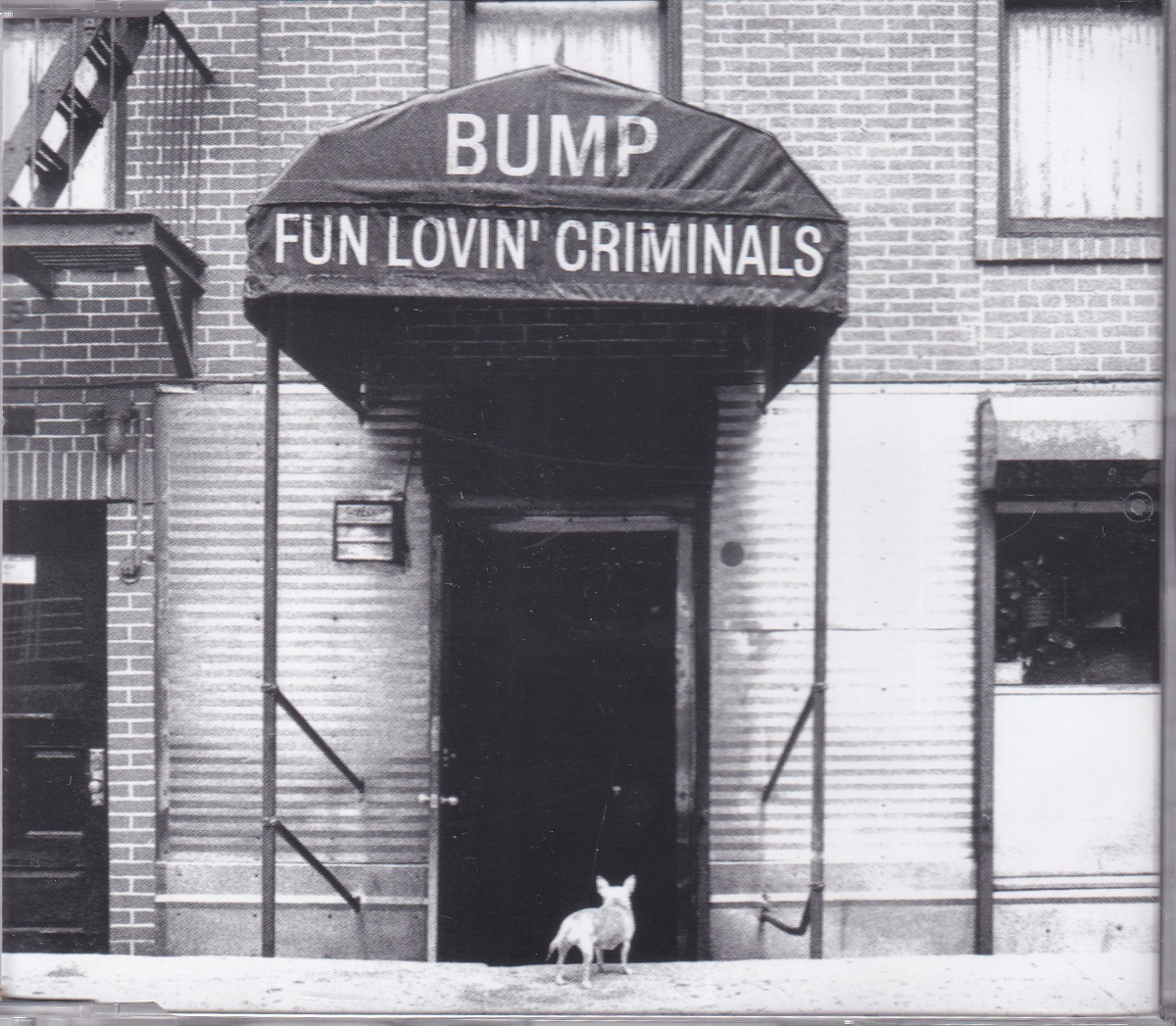 Bump - Image 1