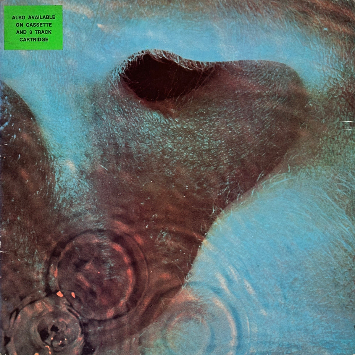 Meddle - Image 1