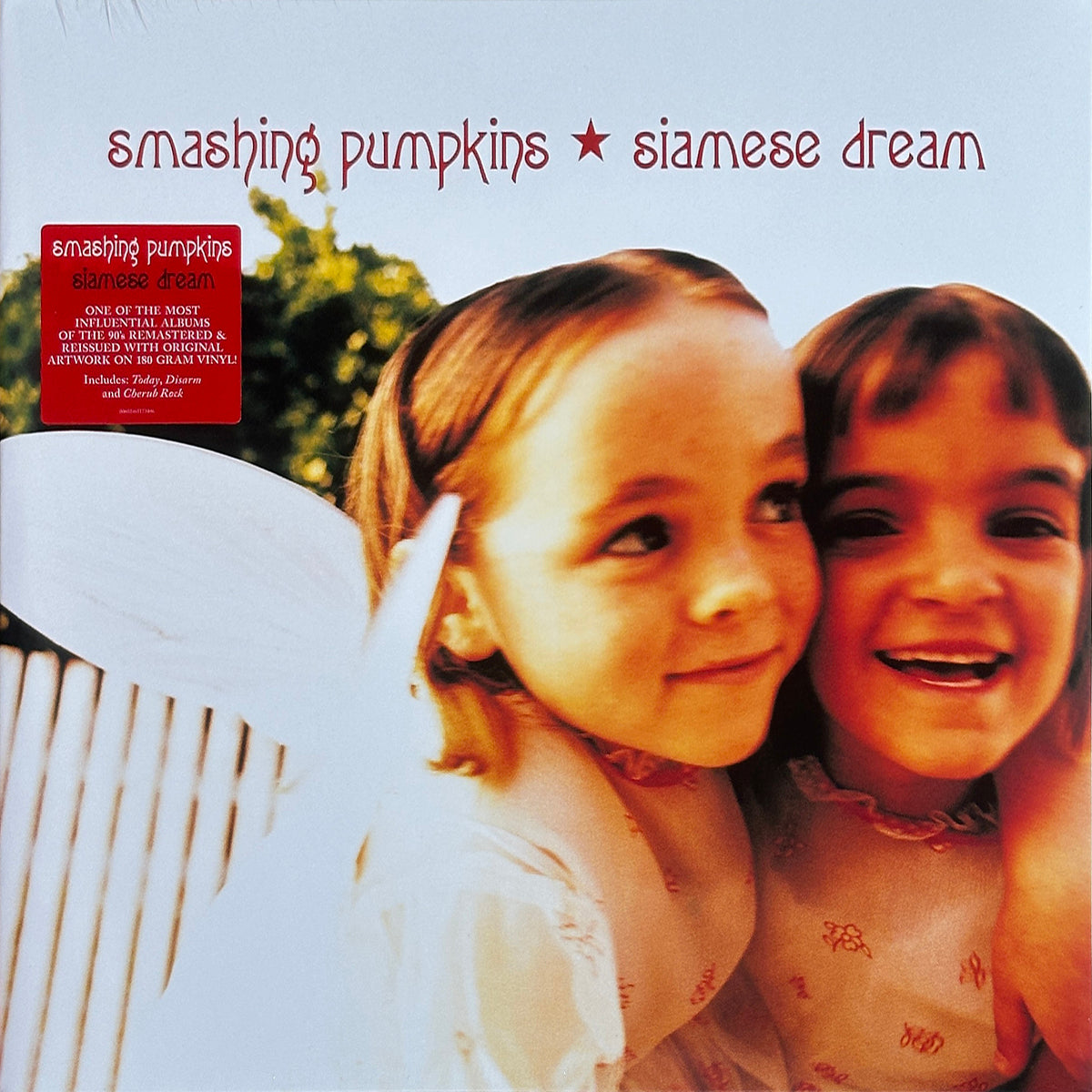 Siamese Dream - Image 1