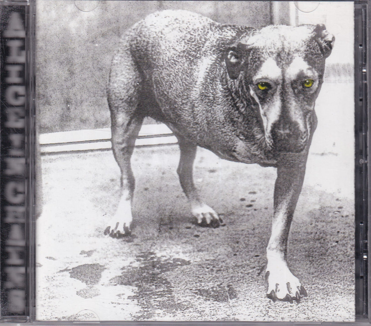 Alice In Chains - Image 1