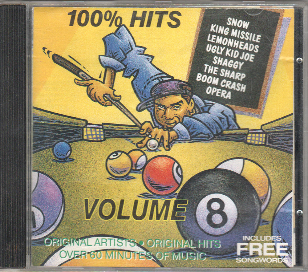 100% Hits Volume 8