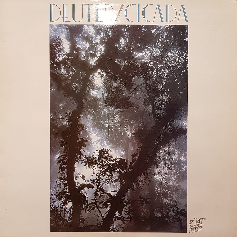 Cicada
