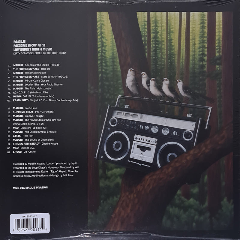 Low Budget High Fi Music