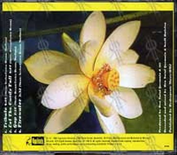311 - Enlarged To Show Detail - Home Video Bonus EP - 2