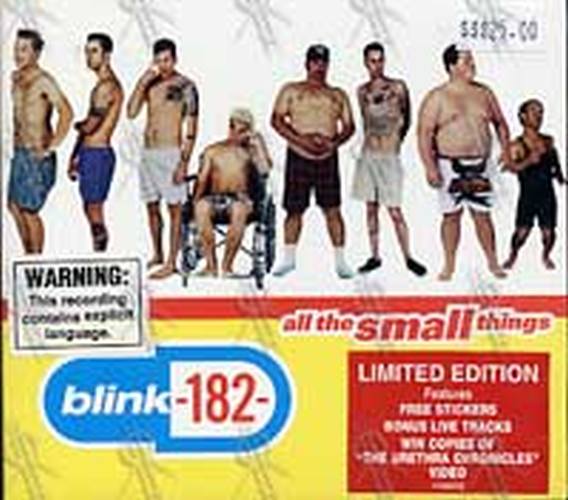 BLINK 182 - All The Small Things - 1