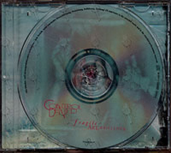 The Fragile Art Of Existence Rare Records Au