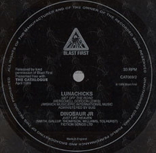 DINOSAUR JR|LUNACHICKS - 'The Catalogue' - April 1989 - Dinosaur Jr / Lunachicks On Cover - 6