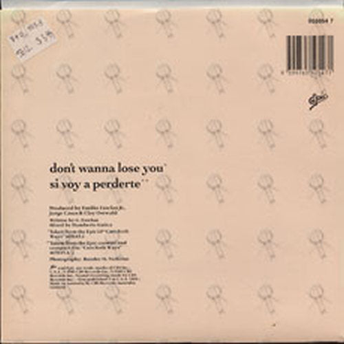 ESTEFAN-- GLORIA - Don't Wanna Lose You - 2