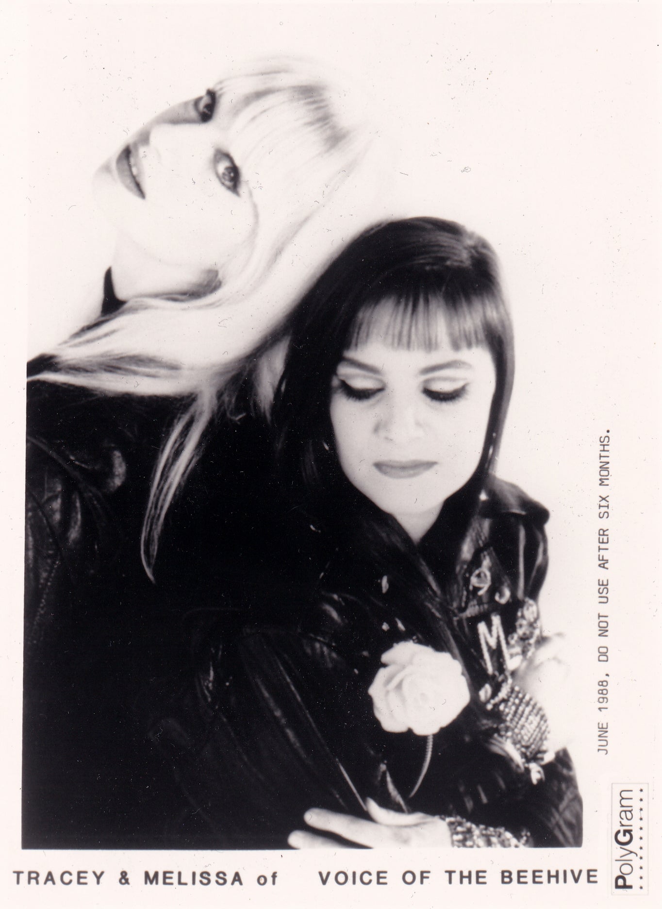 Let It Bee Era Press Kit Photo