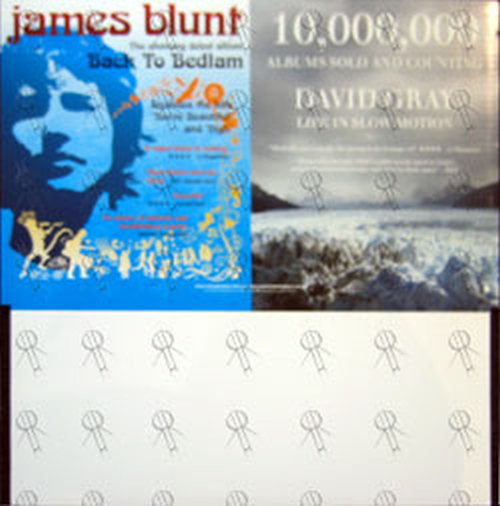 JAMES BLUNT|DAVID GRAY - 'Back To Bedlam' / 'Life In Slow Motion' CD Rack Promo Display - 1