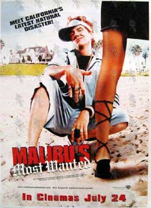 MALIBU'S MOST WANTED - 'Malibu's Most Wanted' Film Poster - 1