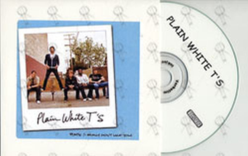 PLAIN WHITE T'S - Hate (I Really Don't Like You) - 1