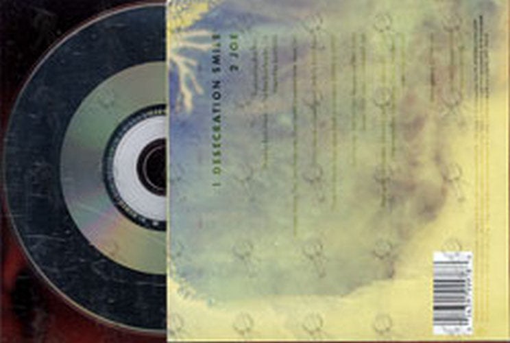 RED HOT CHILI PEPPERS - Desecration Smile - 2