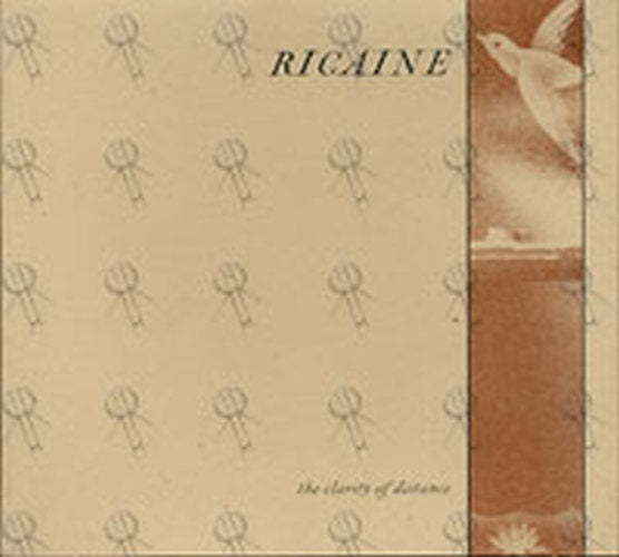 RICAINE - The Clarity Of Distance - 1