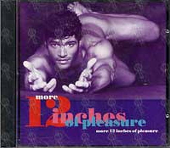VARIOUS ARTISTS - More 12 Inches Of Pleasure - 1