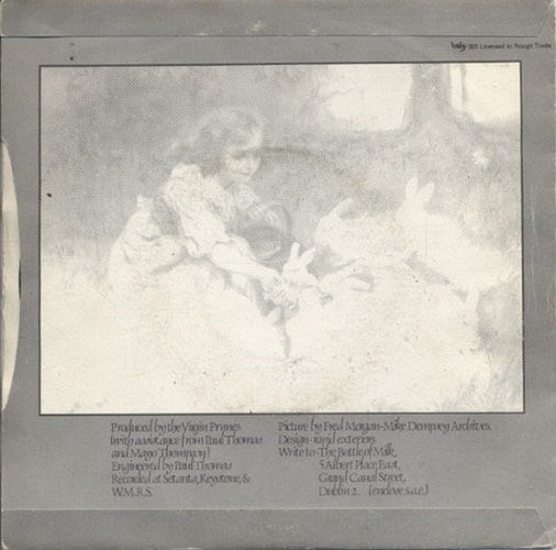 VIRGIN PRUNES - Virgin Prunes - 2