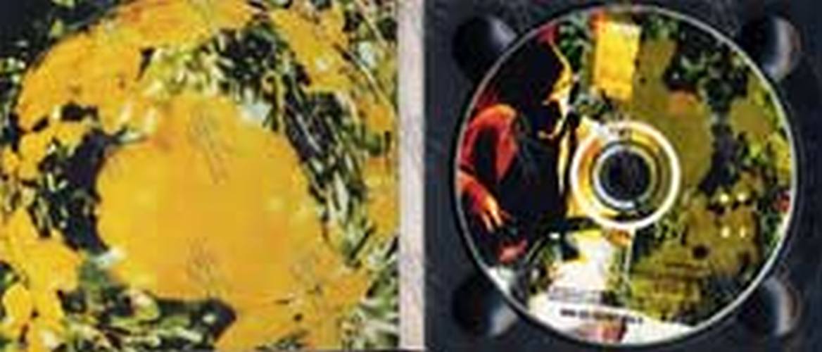 WELLER-- PAUL - Sunflower - 3