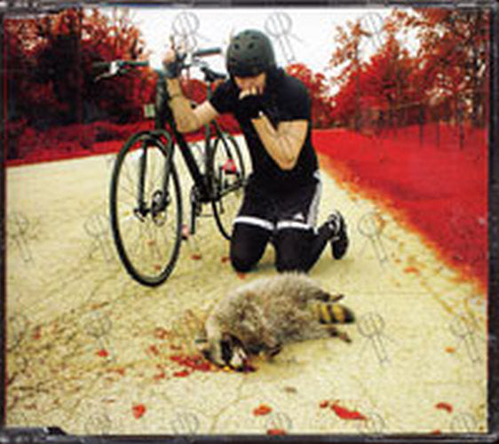 WHITE STRIPES-- THE - The Denial Twist - 1