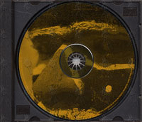 Y & T - Endangered Species - 3