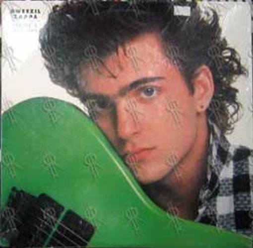 ZAPPA-- DWEEZIL - Havin' A Bad Day - 1