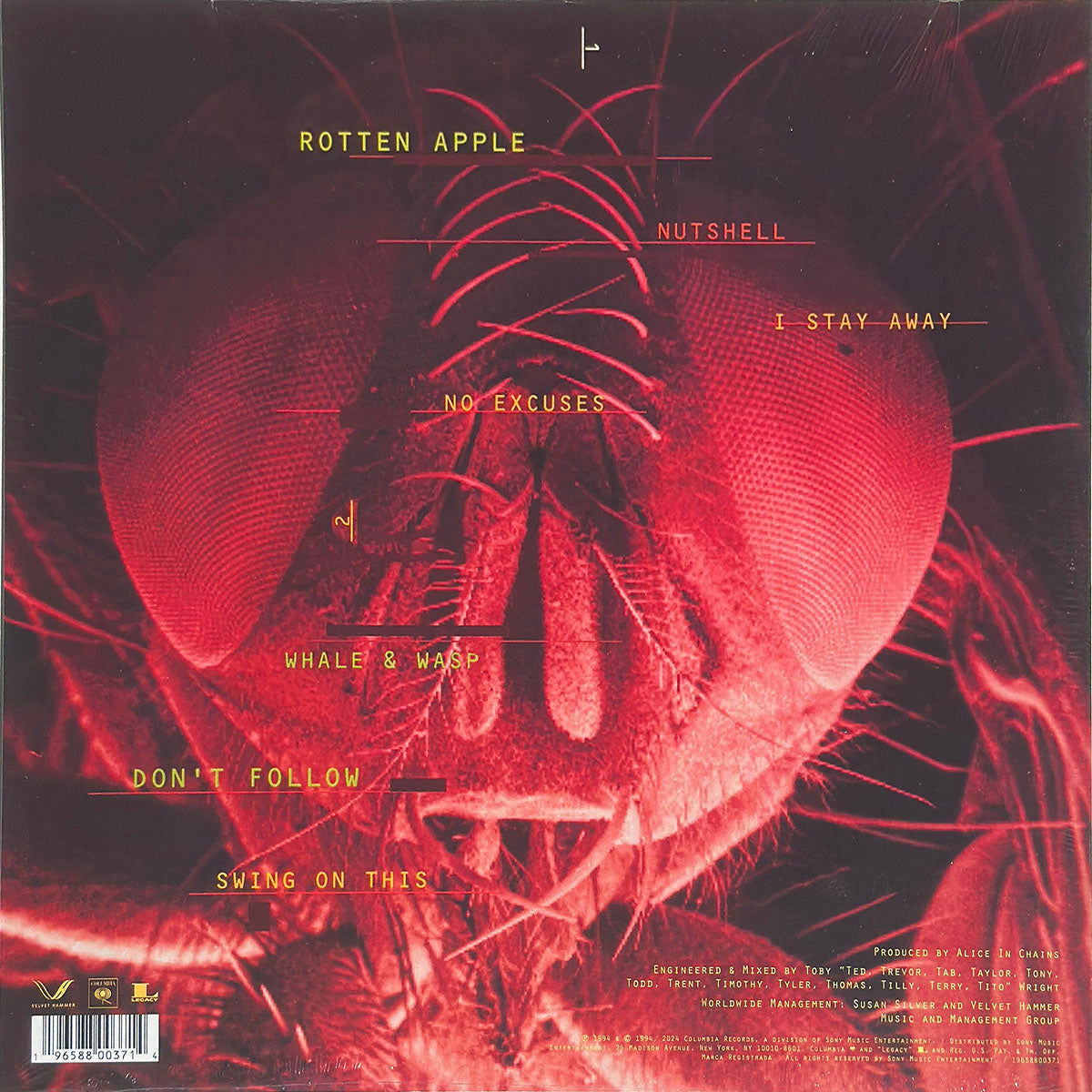 Jar Of Flies
