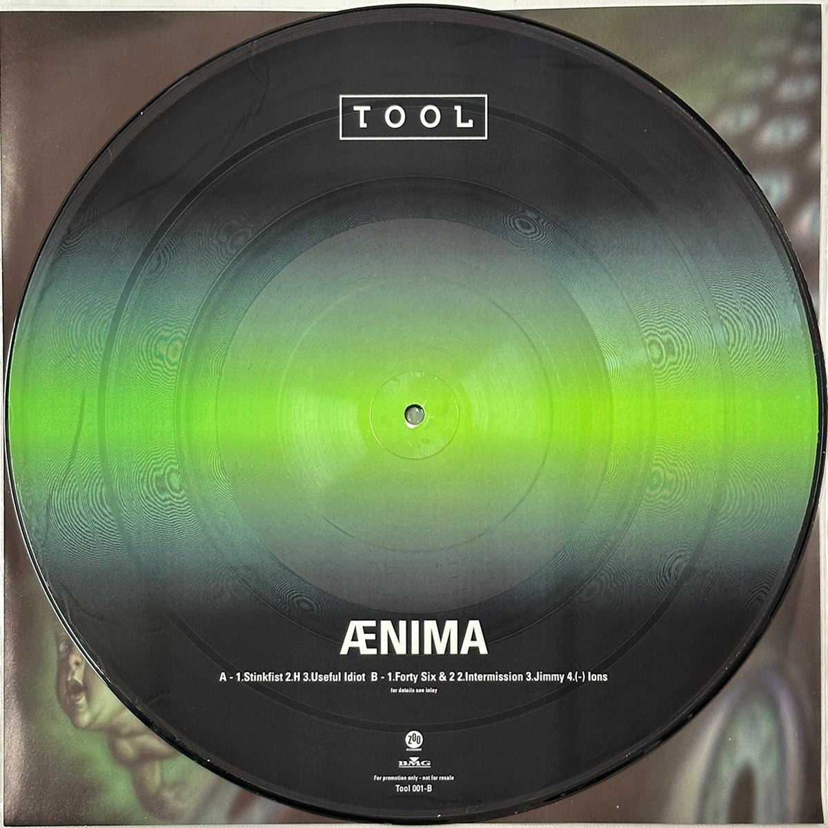 Selections From Ænima