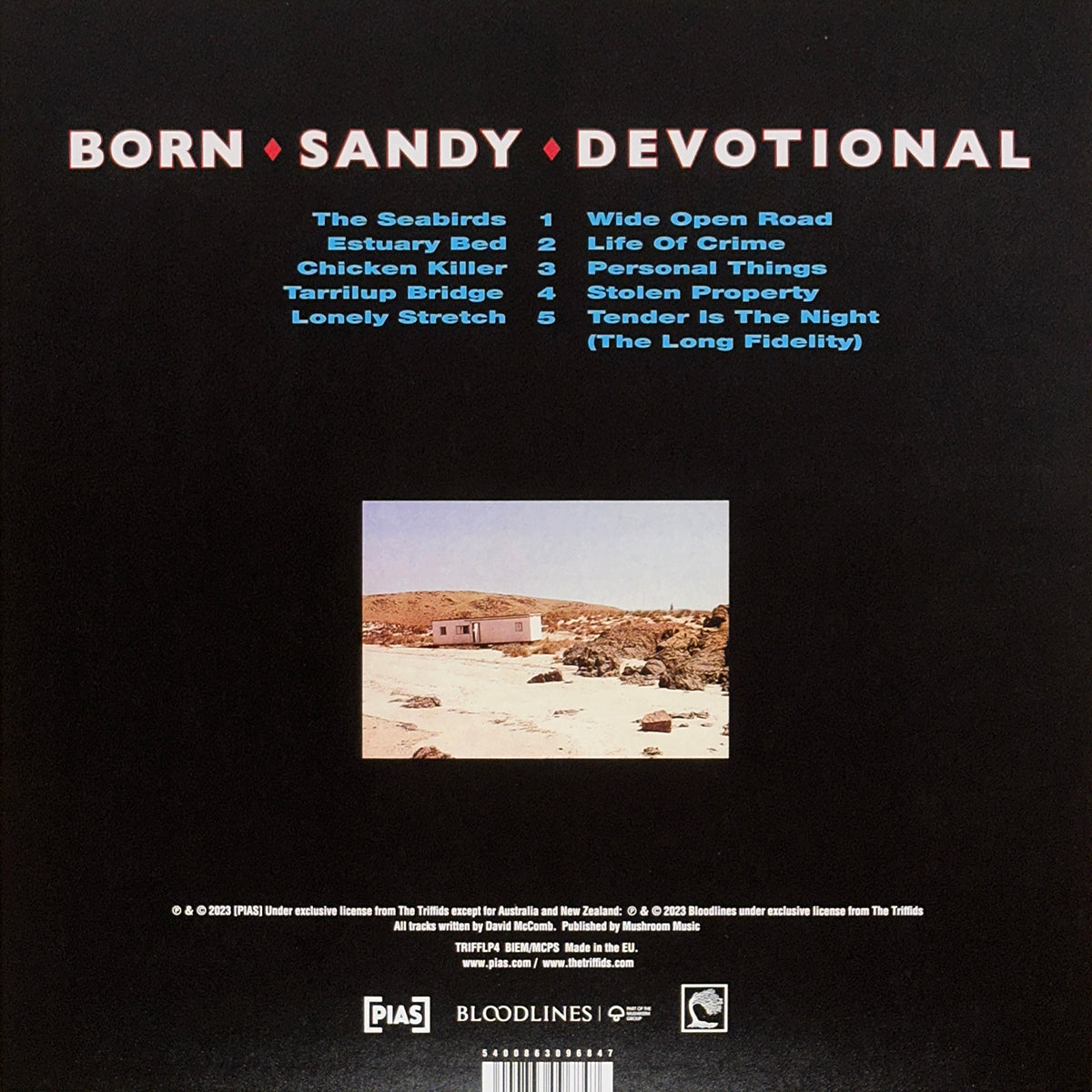 Born Sandy Devotional