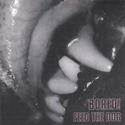 Feed The Dog