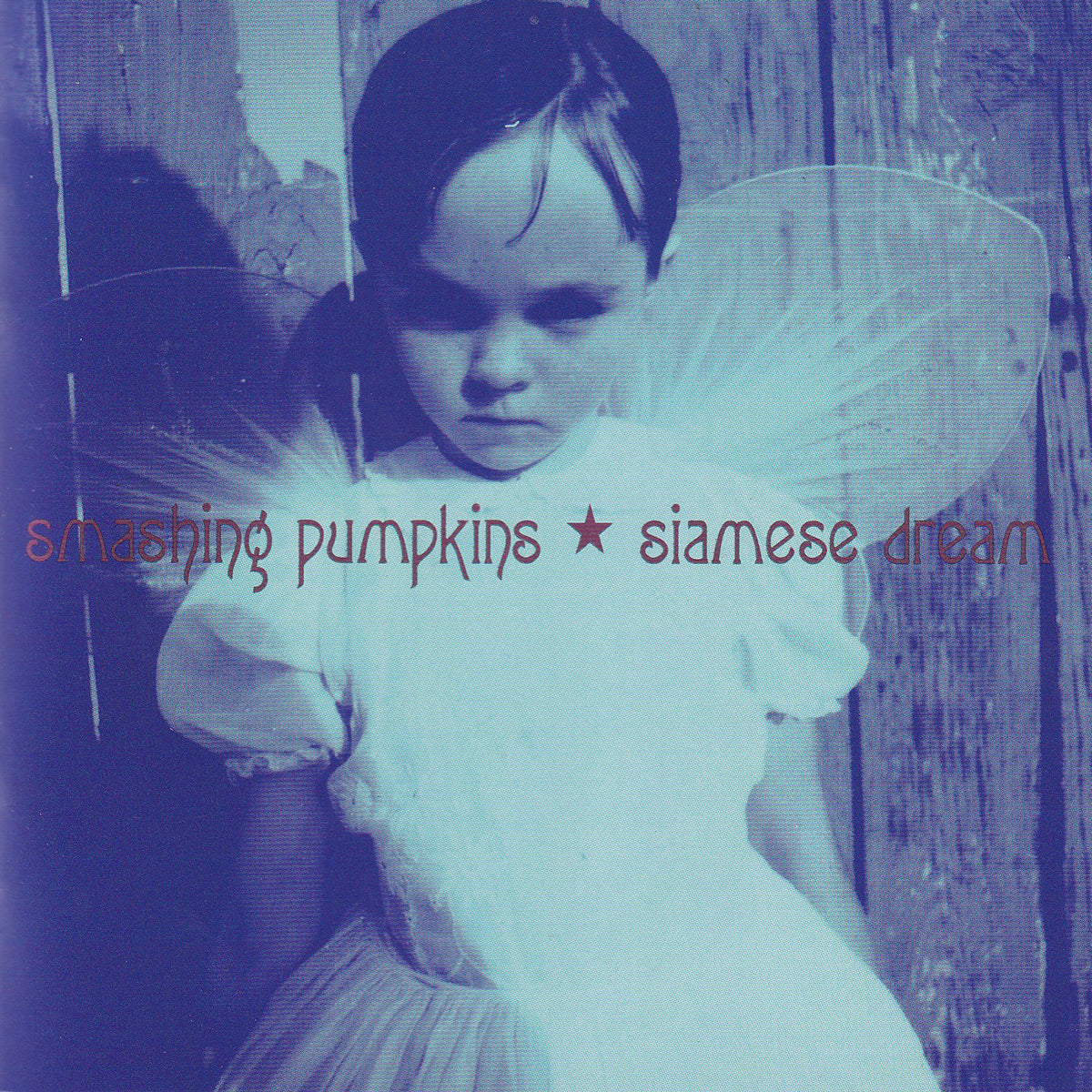 Siamese Dream