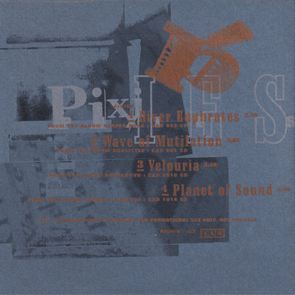 Selections From 'Death To The Pixies'