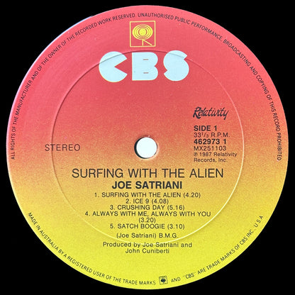 Surfing With The Alien