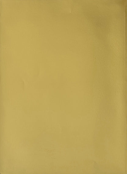 Kylie X 2008 Tour Program (With Ticket)