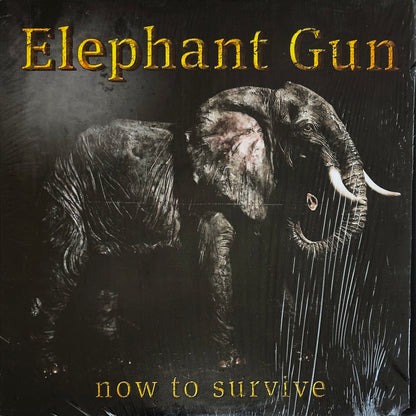 Now To Survive