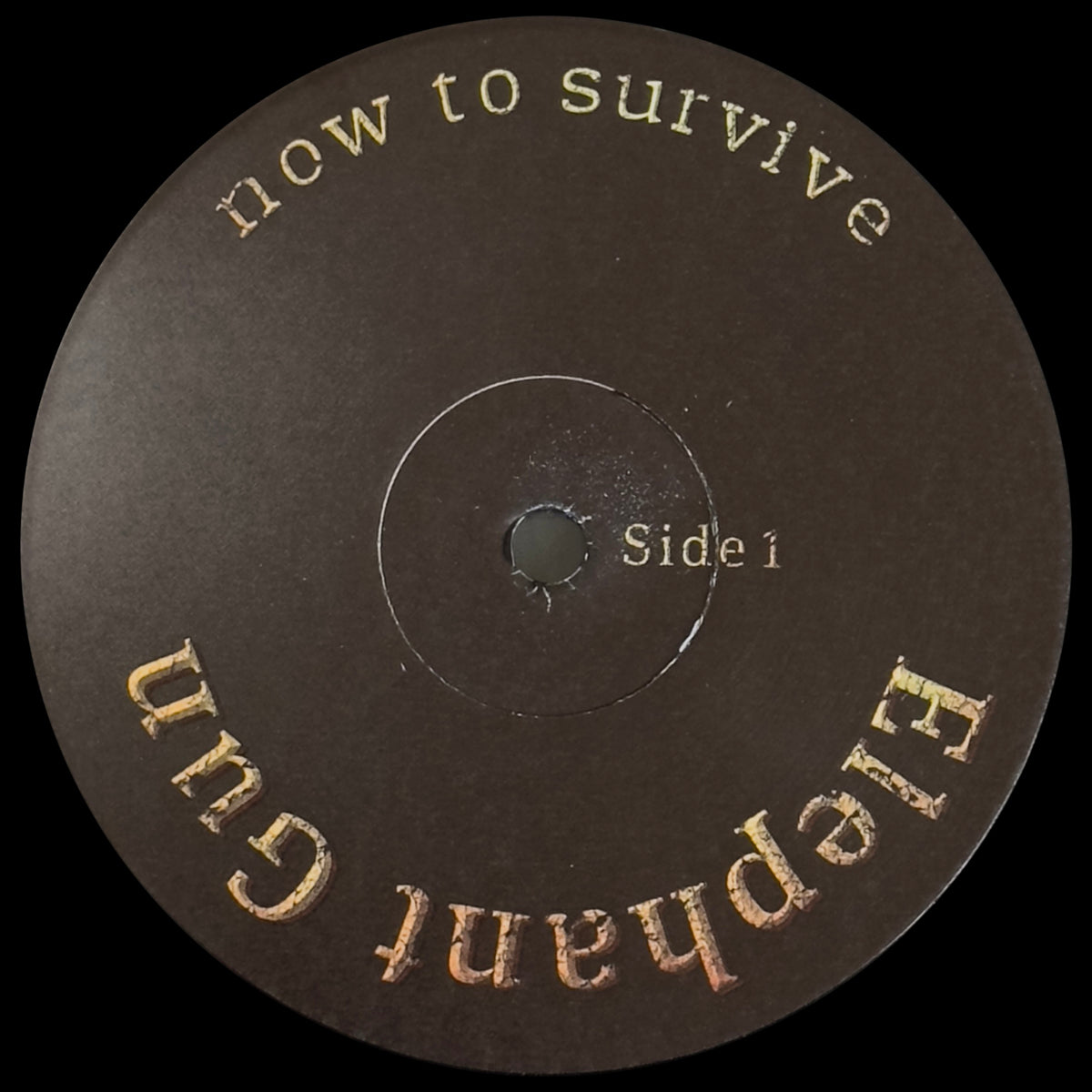 Now To Survive