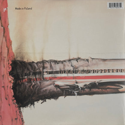 Licensed To Ill (30th Anniversary)