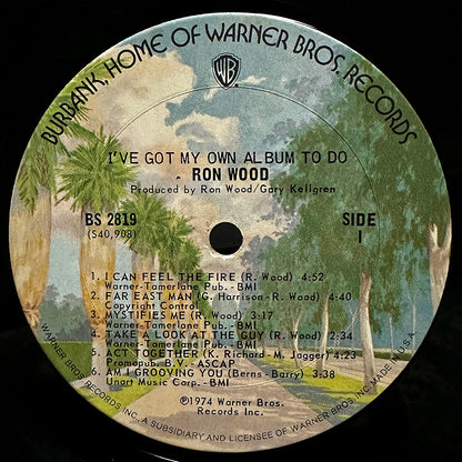 I've Got My Own Album To Do