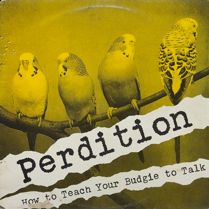 How To Teach Your Budgie To Talk