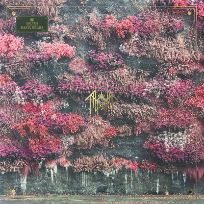 Even In Arcadia (Gold Vinyl)