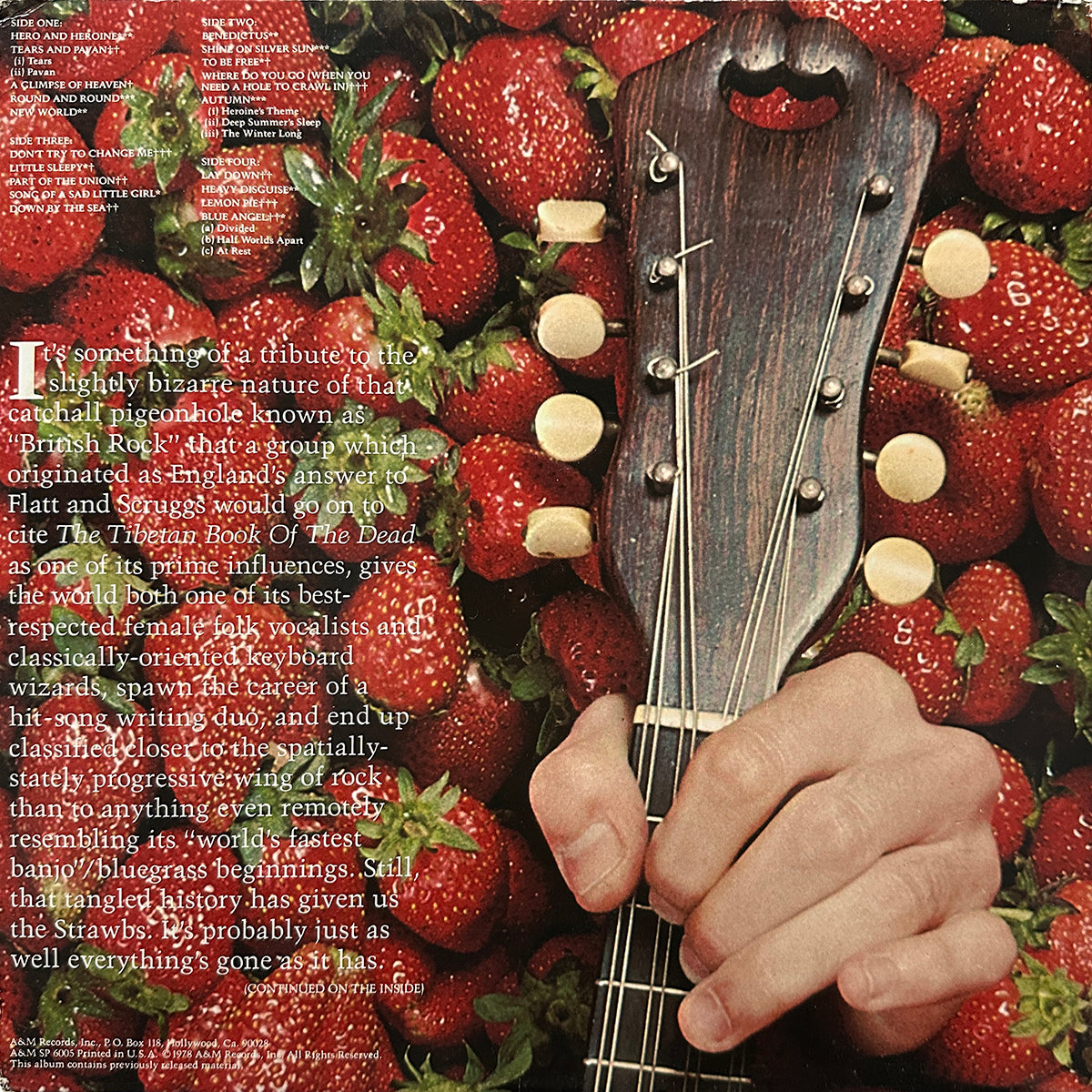 The Best Of Strawbs