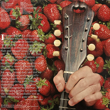 The Best Of Strawbs