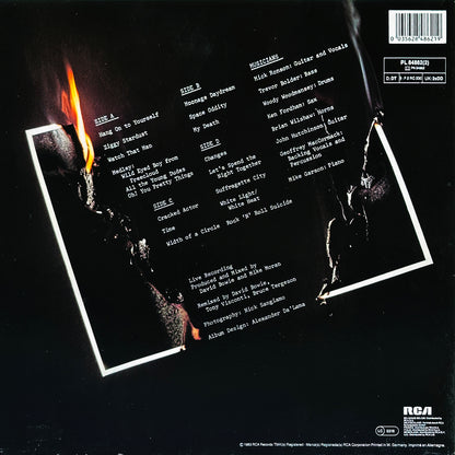 Ziggy Stardust - The Motion Picture