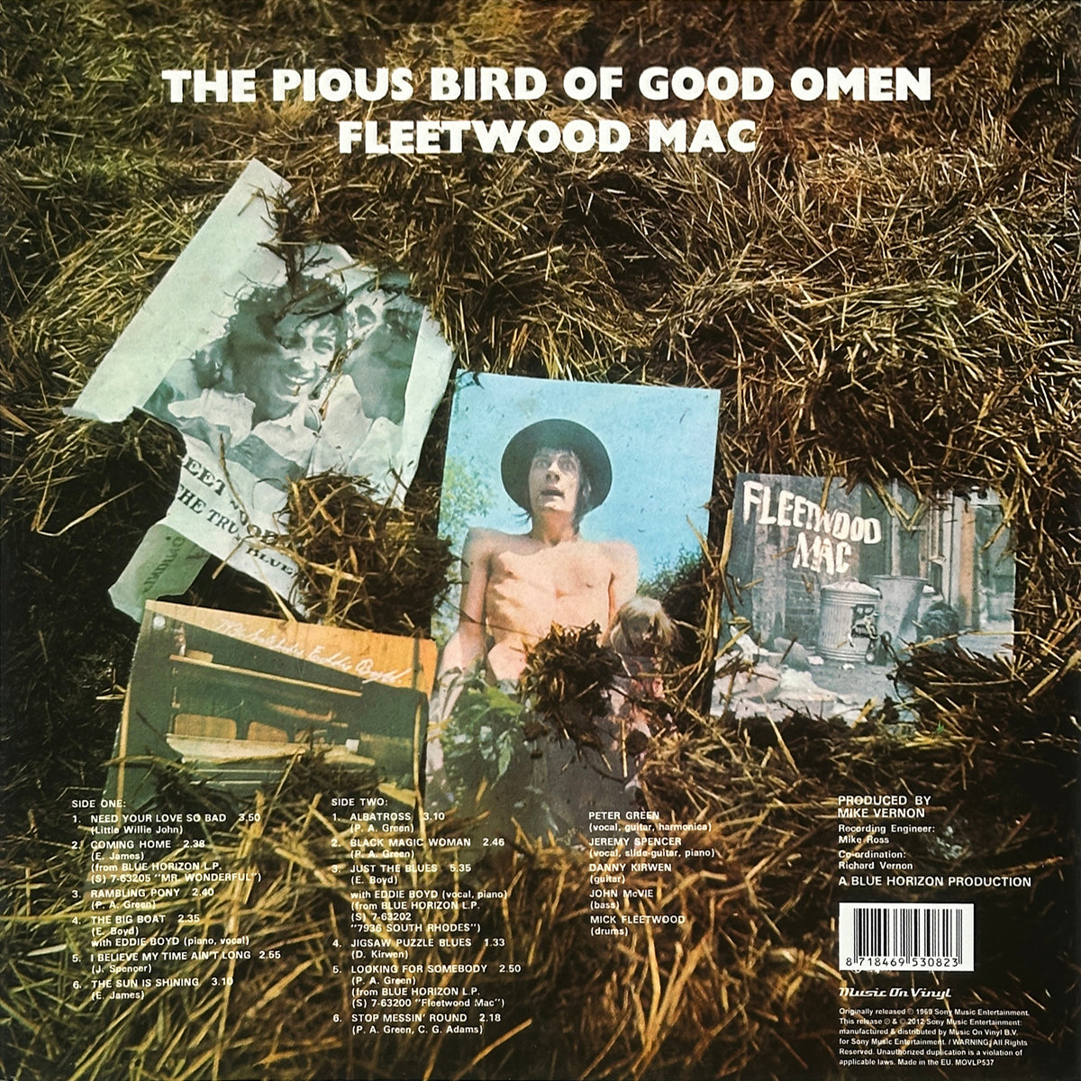 The Pious Bird Of Good Omen