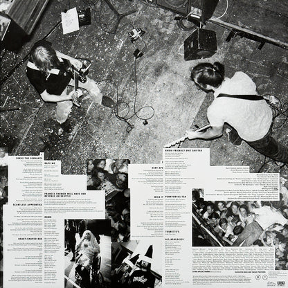 In Utero (30th Anniversary)