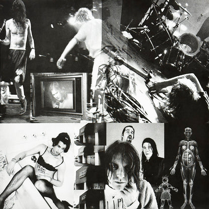 In Utero (30th Anniversary)