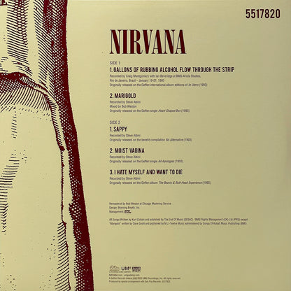 In Utero (30th Anniversary)
