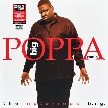 Big Poppa (Remix)