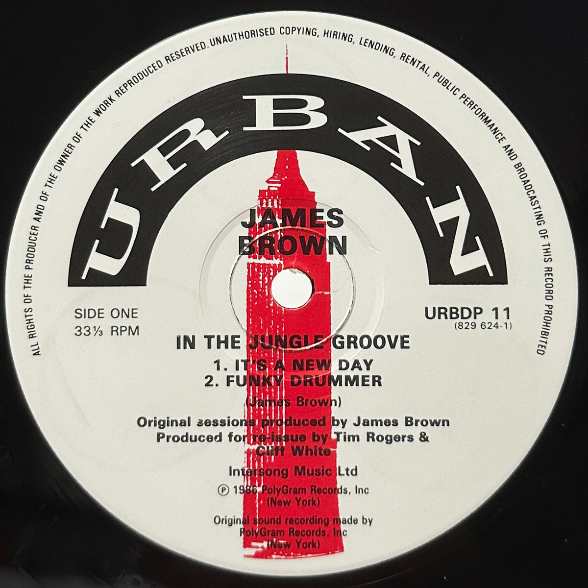 In The Jungle Groove